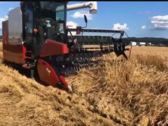 農(nóng)業(yè)農(nóng)村部門統(tǒng)計(jì)工作管理辦法